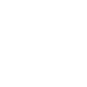 taller_olivo